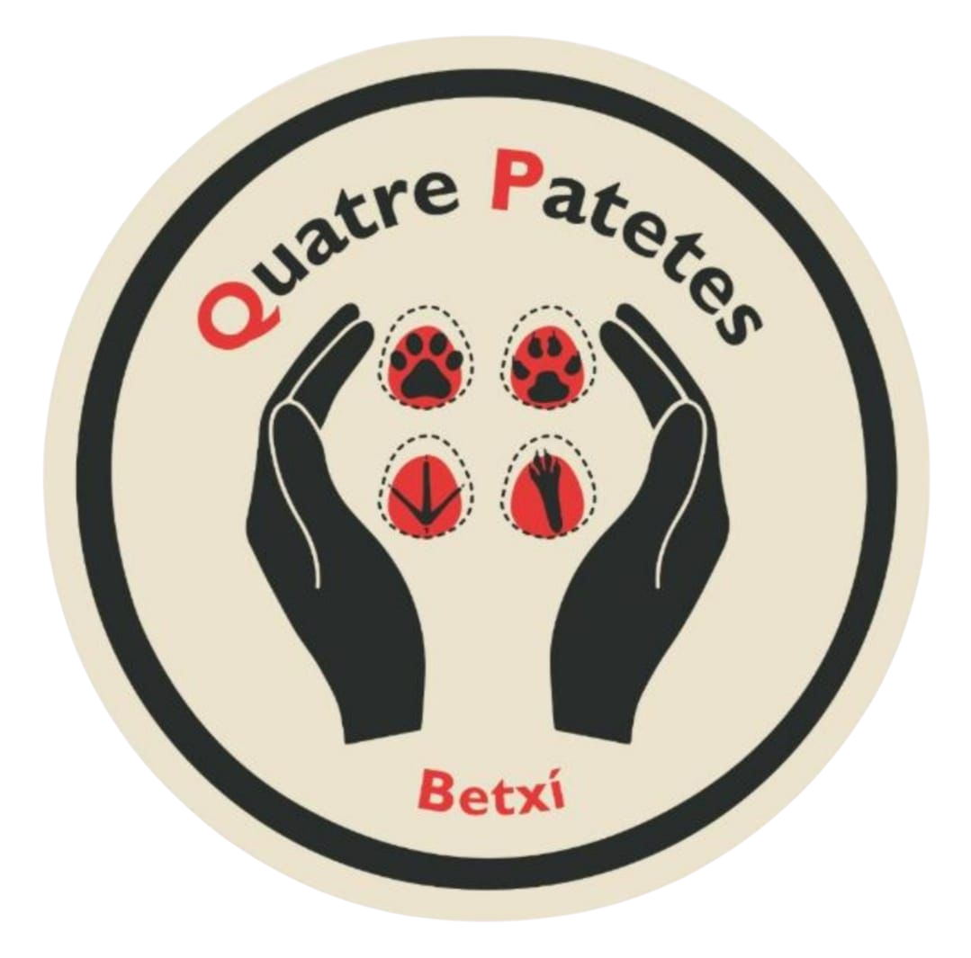 Quatre Patetes Betxi